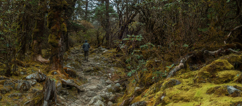 Singalila National Park